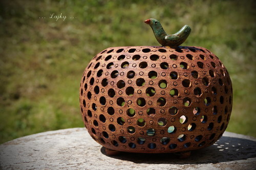 Racek u jezera... — foto 6