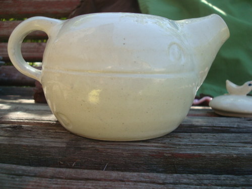 Malý bílý ptáček — foto 3