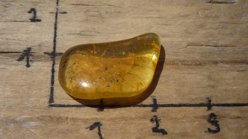 Pravý jantar P9757 — foto 3