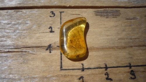 Pravý jantar P9757 — foto 4