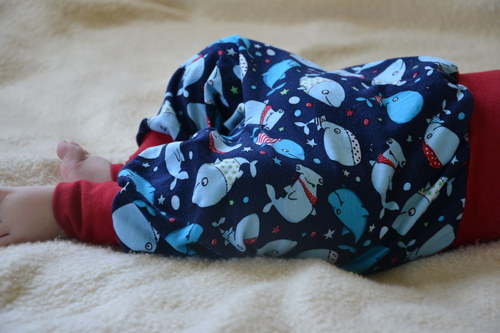 Velcí mořští savci II. — foto 2