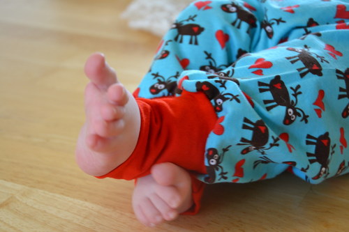 Jeleni v říjnu — foto 2
