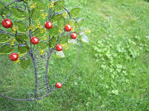 Pohádka o jabloňce — foto 5