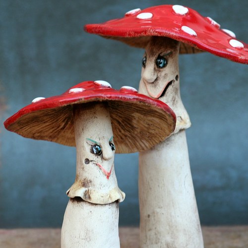 Veselé muchomůrky — foto 6