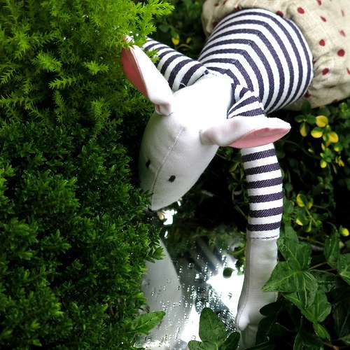 Jmenuje se Cecil........... — foto 6