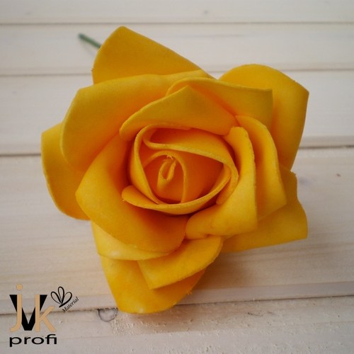 Růže velká - žlutá — foto 3