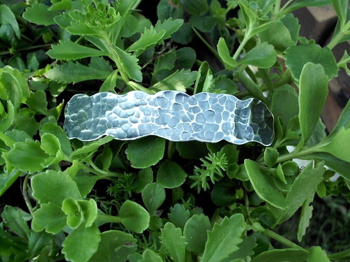 Spona tepaná — foto 2