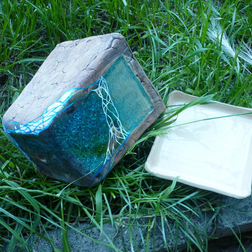 Květník lagunka — foto 3