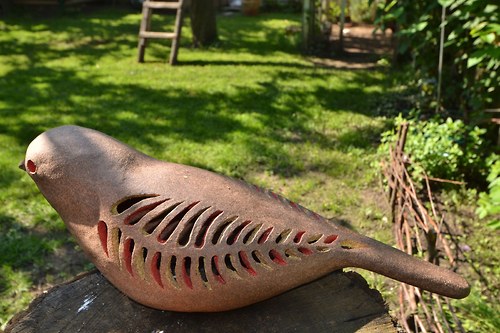 Pták ohnivák — foto 2