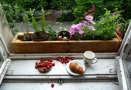 Truhlík z palety — foto 2