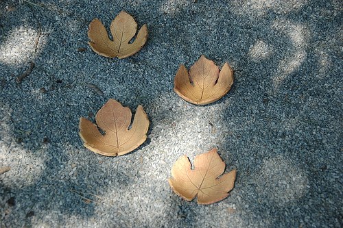 Keramické listové mističky-10 cm — foto 2
