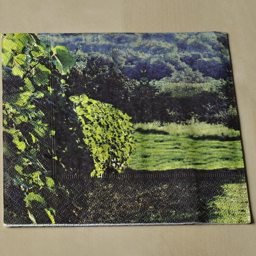 Ubrousek - Vinice — foto 2