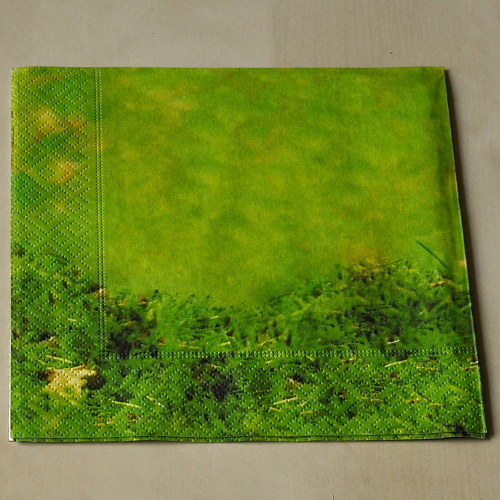 Ubrousek - Houby — foto 2