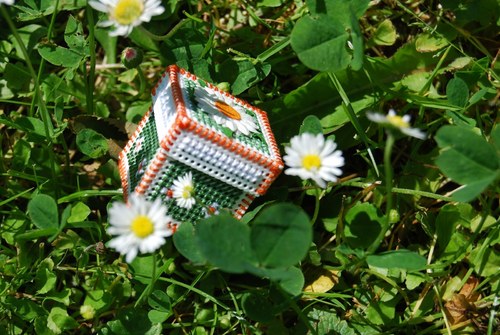 Kouzelná krabička se sedmikráskou — foto 2