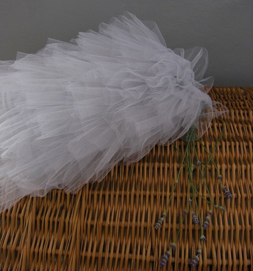 Tutu ..grey swan ...na přání — foto 6