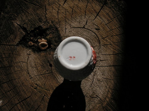 Čínská vázička — foto 2