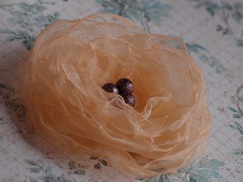 Brož Apricot — foto 6