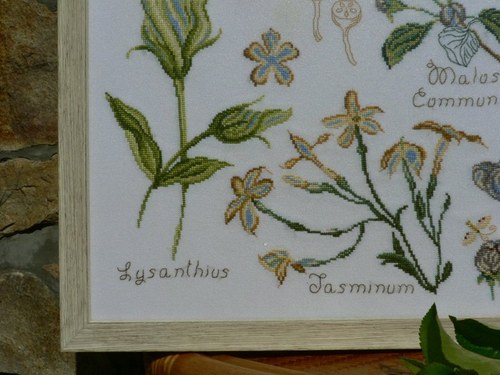 Botanica — foto 2
