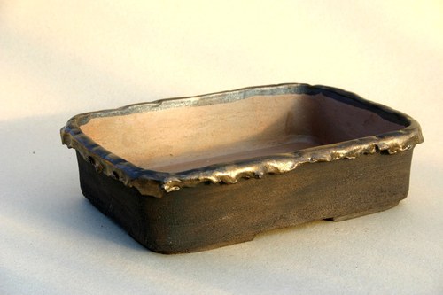 Miska Bonsai — foto 2