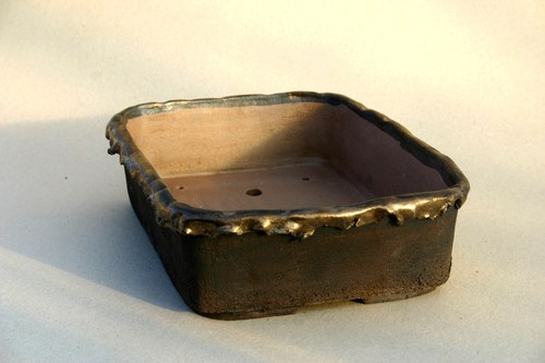 Miska Bonsai — foto 3