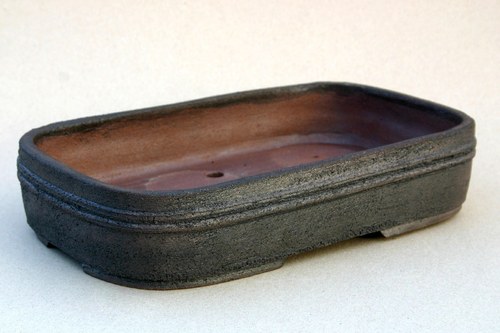 Miska Bonsai — foto 2