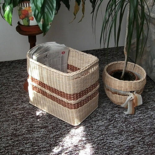 Na noviny — foto 5