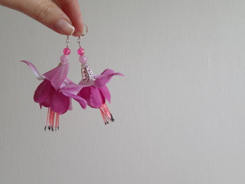 Fuchsia magellanica — foto 3