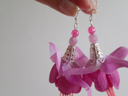 Fuchsia magellanica — foto 6