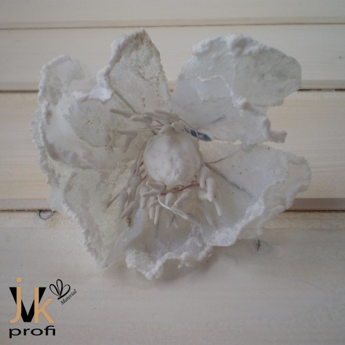 Magnolie květ - bílý — foto 3