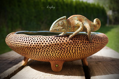 Chameleon... — foto 2