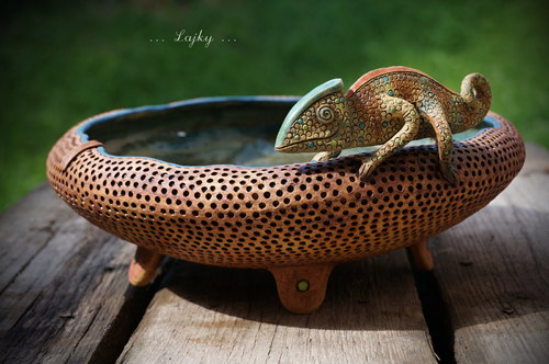 Chameleon... — foto 3