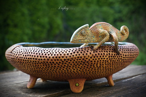 Chameleon... — foto 5
