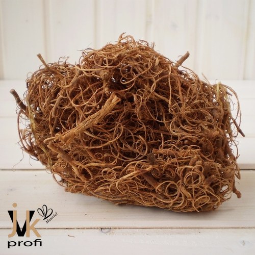 Curly moose - hnědý — foto 2