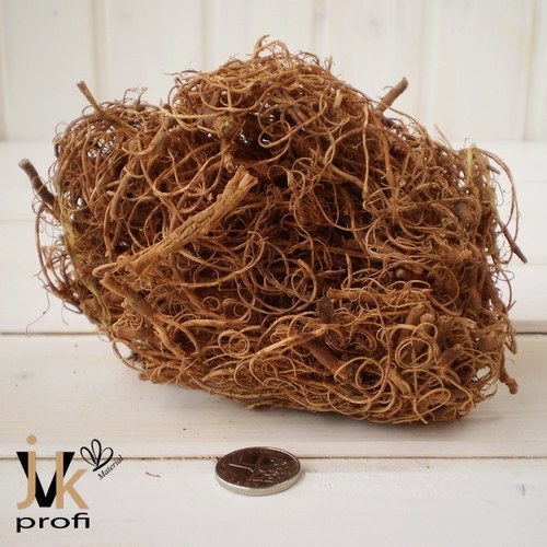 Curly moose - hnědý — foto 3