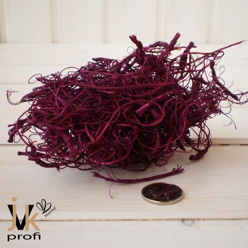 Curly moose - fialový — foto 3