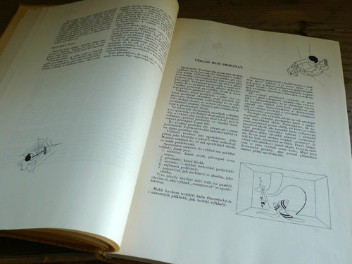 Výklad aby prodával — foto 5