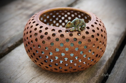 A kdepak bydlí chameleonek...? — foto 2