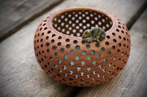 A kdepak bydlí chameleonek...? — foto 3