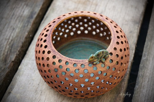 A kdepak bydlí chameleonek...? — foto 5