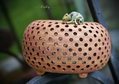 A kdepak bydlí chameleonek...? — foto 6