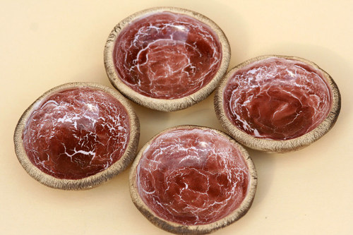 Ztracená země — foto 2