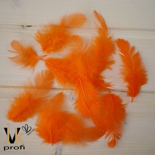 Peříčka - oranžová — foto 3