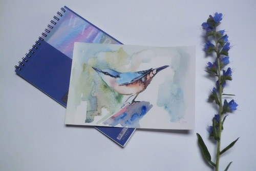 Brhlík lesní č.2. Akvarel. — foto 2