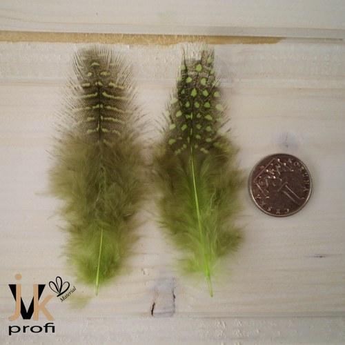 Peříčka kropenatá - zelená — foto 4