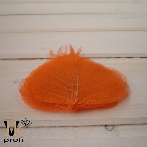 Skelet list - oranžový — foto 2