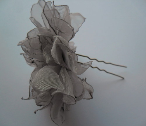 Pivoňka šedivá — foto 2