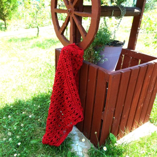 Letní červánek... — foto 6