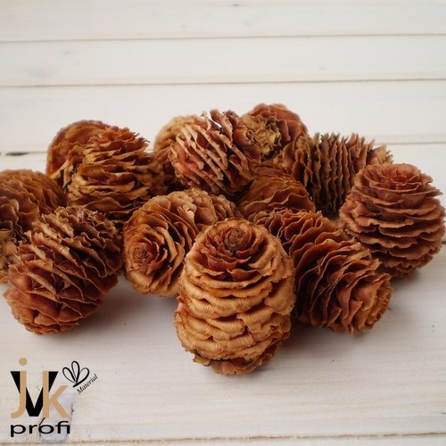 Strictum cone — foto 3