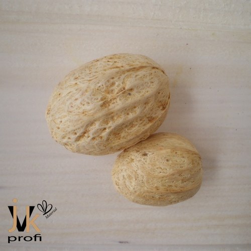 Amra pod - bílý — foto 3