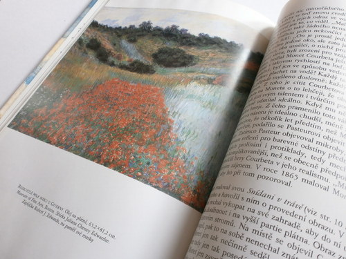 Monet — foto 5